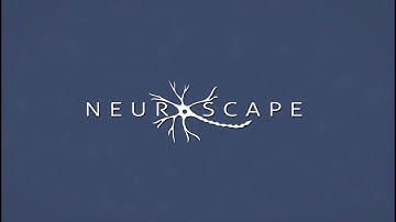 Welcome to Neuroscape