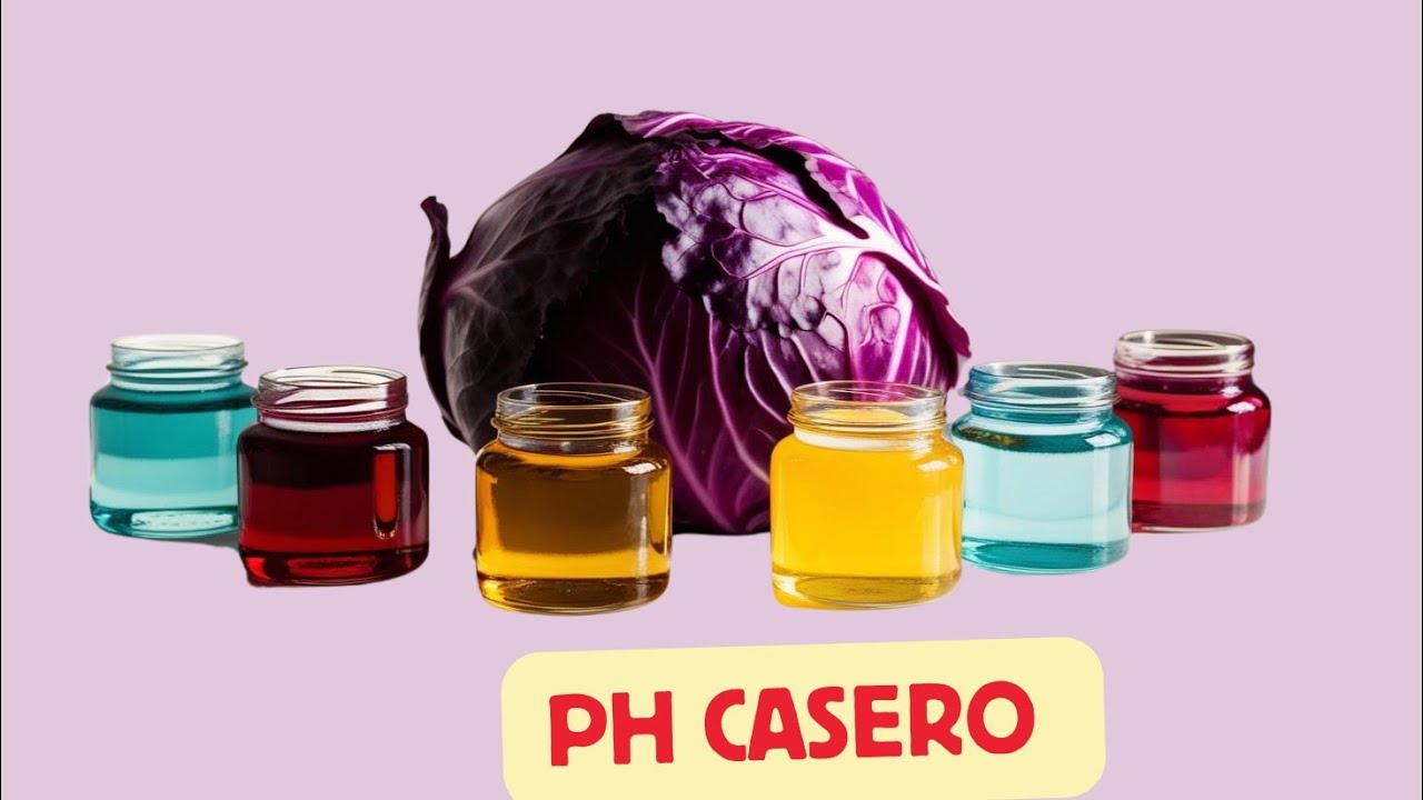 ¡Aprende A crear Un Indicador de PH Casero Usando Repollo Color morado