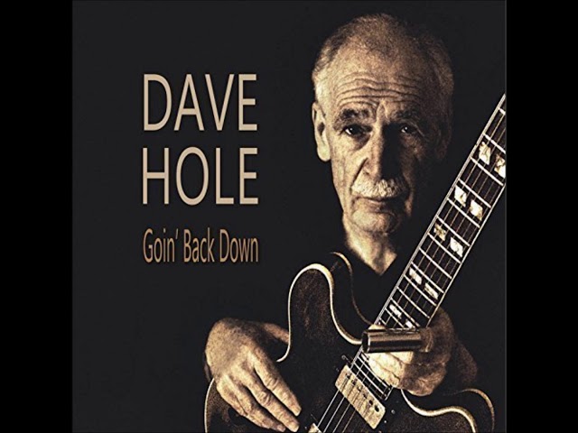 Dave Hole - Too Little Too Late