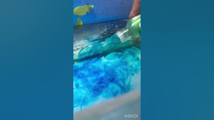 How to use medicine END TAK DEKHNA😍❤️ #shorts #aquarium