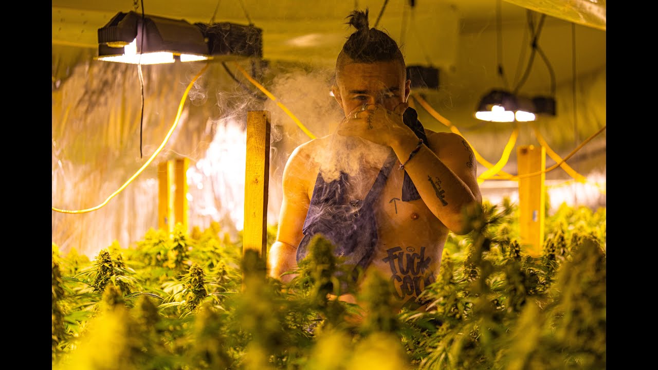 Chotta - Ke Vernunft feat. Kimbo1312 Official 4K Video