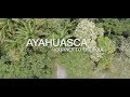 Ayahuasca - A Journey To The Soul