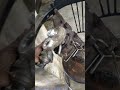 What is a turbo.
