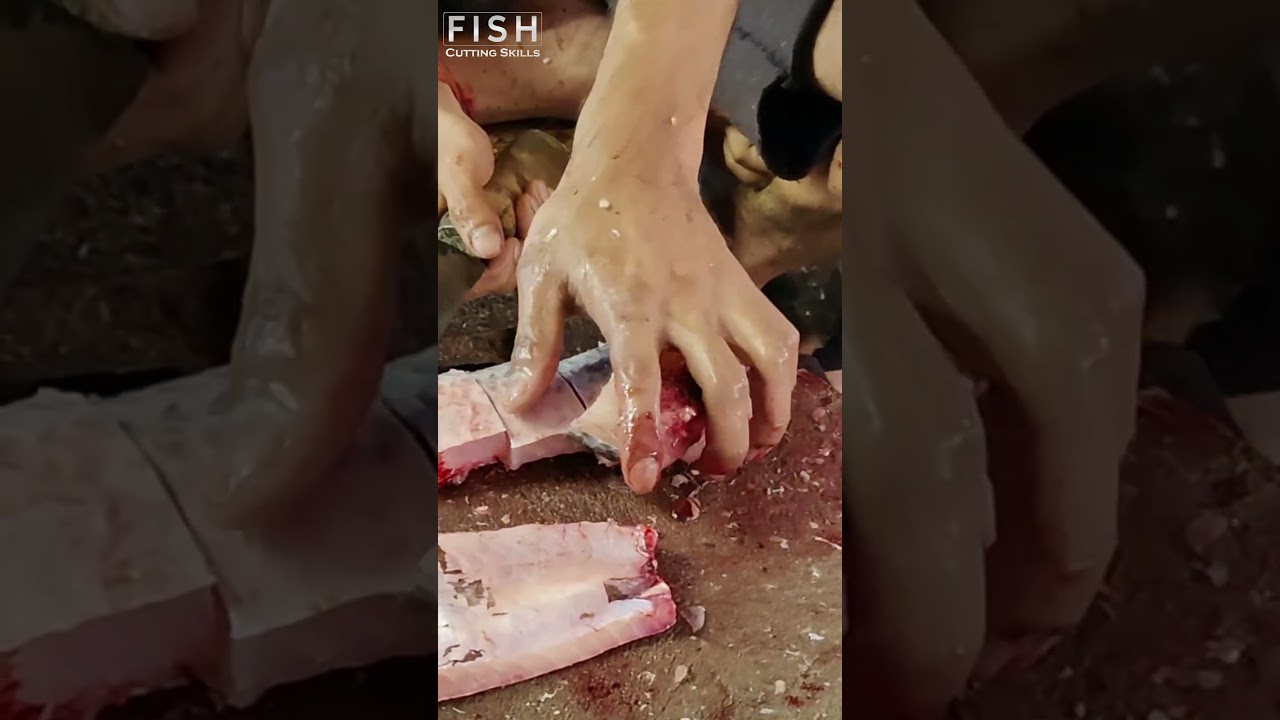 Fish cutting video 2023 