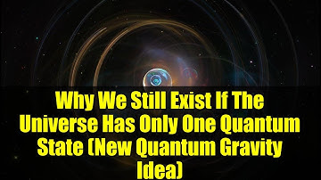 Why We Still Exist If The Universe Has Only One Quantum State (New Quantum Gravity Idea)