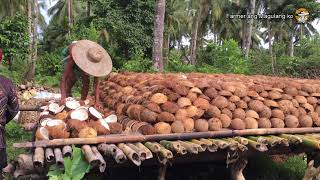 COCONUT FARMERS IN PHILIPPINES