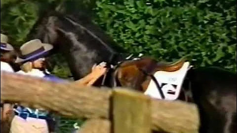 Wendy Schaeffer & Sunburst- XC Atlanta 1996