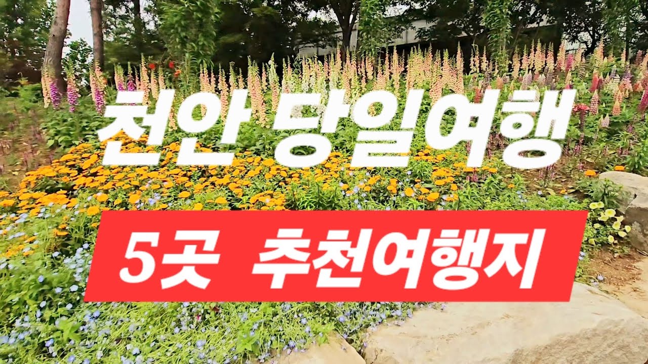 천안 5곳 당일여행 추천
