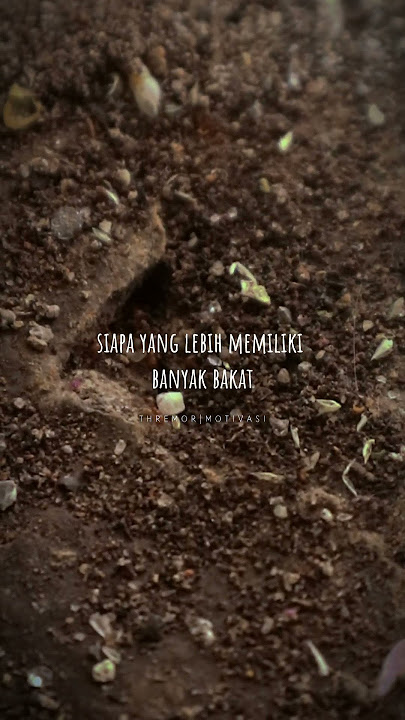 Aku lapar🔥 #sigmarule #shortvideo #motivasi #inspirasi #motivasion #storywa #inspiration #quotes