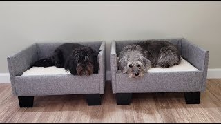 Custom Upholstered Dog Beds