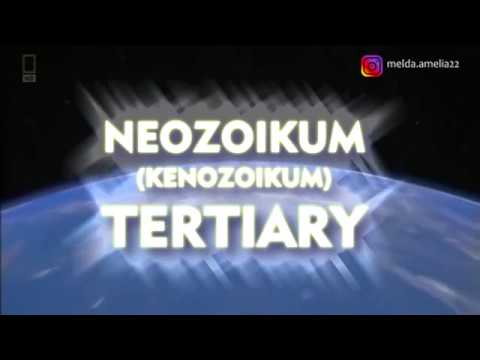 EVOLUSI BUMI: KENOZOIKUM/NEOZOIKUM (PART 1) "TERTIARY PERIOD"