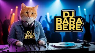 Si Oyen DJ Bara Bere | Video Kucing Viral
