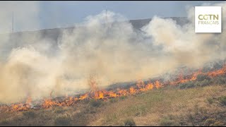 Amérique du Nord : un incendie de forêt dans le centre de l'État de Washington s'étend au Canada