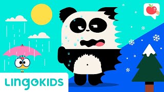 WEATHER FOR KIDS  ⛅ VOCABULARY, SONGS and GAMES | English for Kids