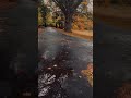 Yağmur Sesi ve Sonbaharın Güzelliği #asmr #rain #nature #doğasesleri #yağmursesi #rahatlama
