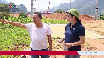 Dự án tái định cư không có cơ sở hạ tầng | VTV24
