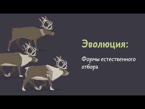 Видео: Что общего между искусственным и естественным отбором?