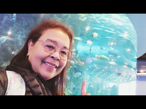 SEA LIFE MELBOURNE AQUARIUM WITH MY FRIEND!! LET'S GO & CHECK IT OUT EVERYONE | BEAUTIFUL PLACE 🇦🇺