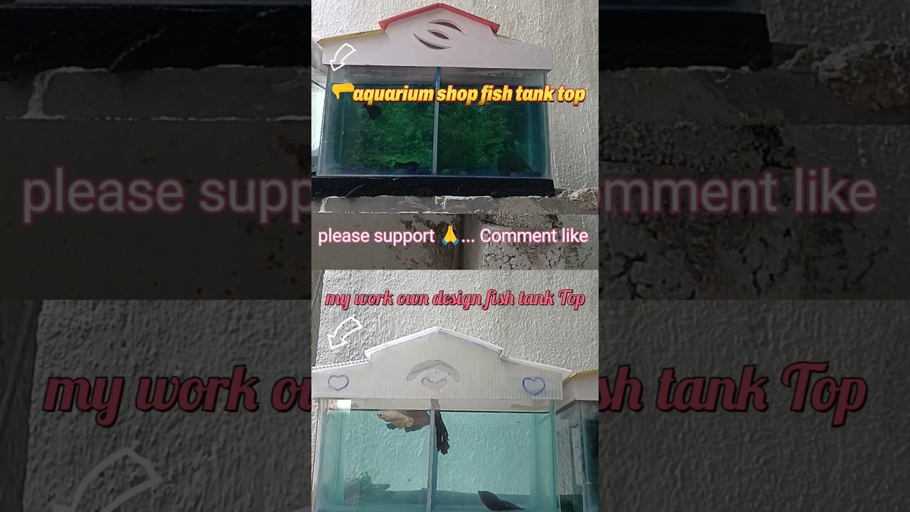 my work design fish glass tank top Modi 