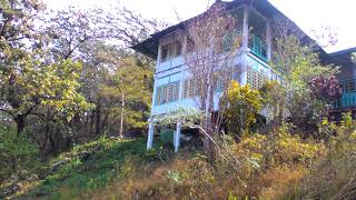 View from Mathanguri Upper Bungalow - Manas National Park