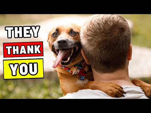 5 Signs Your Dog Is Lucky — With You!