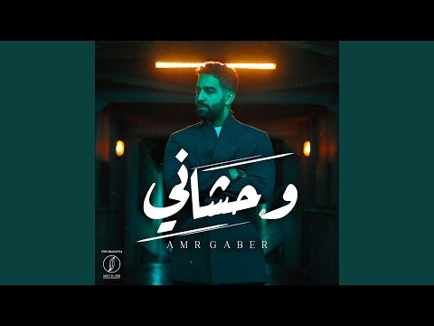 Amr Gaber - Wahshany