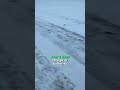 I am thoroughly impressed #snow #winter #ryobi #ryobination #snowblower #ryobipowertools