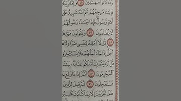 تلاوة من سورة يونس (ويقولون من هذا الوعد إن كنتم صٰدقين) 💗