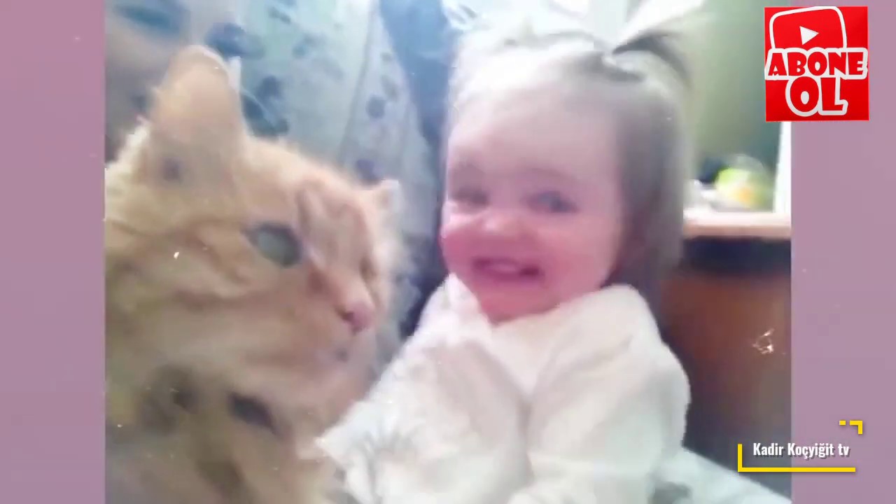 EN TATLİ KEDİ VE BEBEKLER YouTube