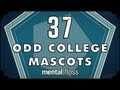 37 Odd College Mascots - mental_floss on YouTube (Ep. 22)