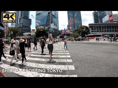 The BUSIEST Crossing in the World on a Quiet Day - Shibuya Crossing Tokyo Japan