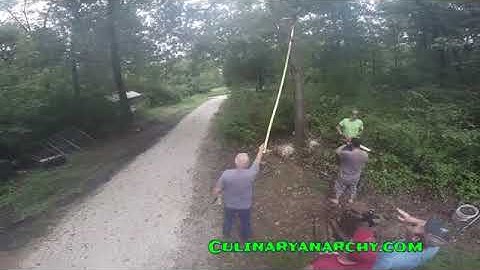 Rednecks in Arkansas cutting down a tree