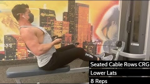 Seated Cable Rows CRG | MAG Grip