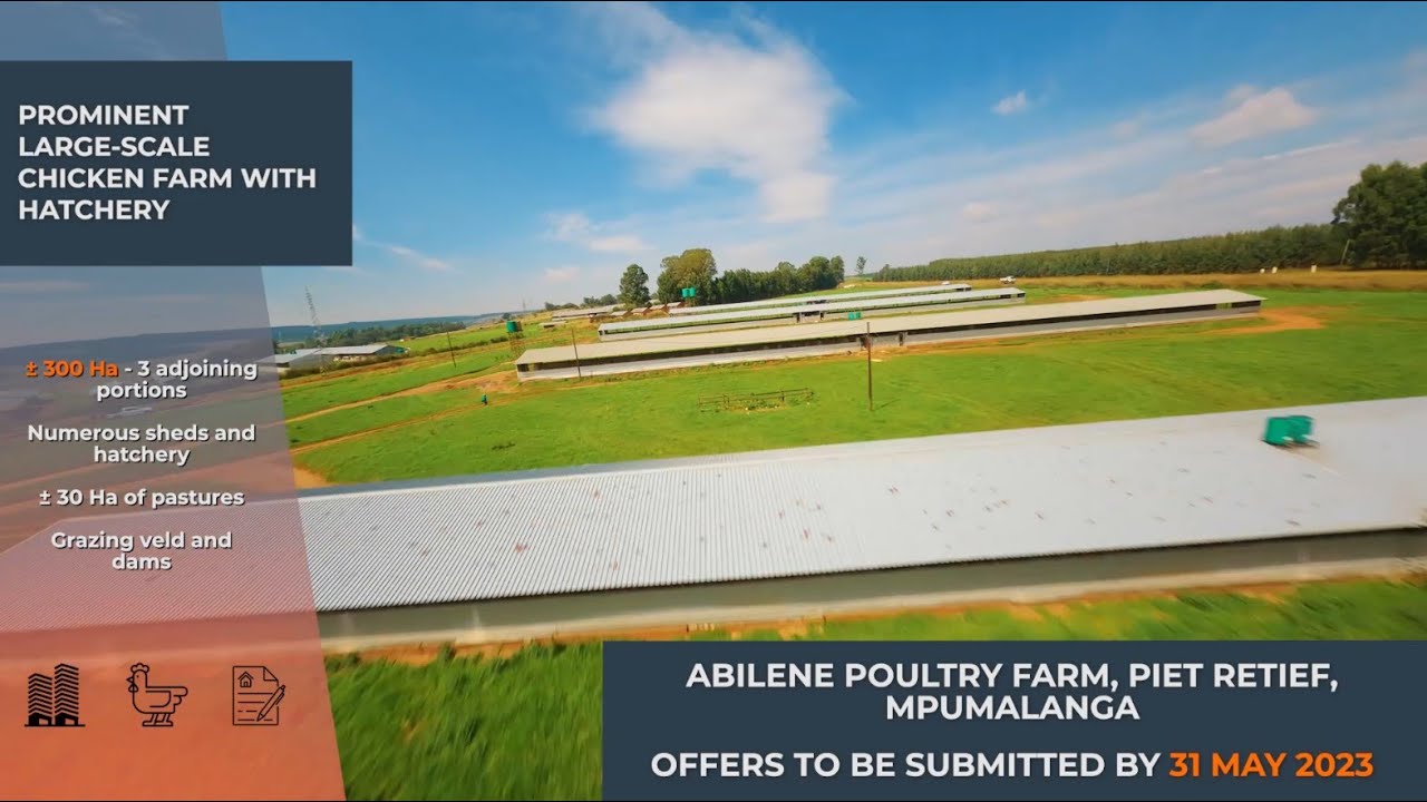 The Property Dealroom - Abilene Poultry Farm, Piet Retief, Mpumalanga