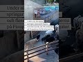 Flera skadade av rusande tjurar i Pamplona
