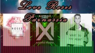 The Chainsmokers - Roses vs Blasterjaxx- Parnassia vs Justin Bieber - Love Yourself  [Mashup]