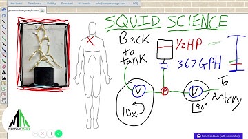 Postmaster Embalming- Squid Science