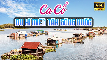 Vừa Nằm Vừa Nghe Ca Cổ Hơi Dài Ngắm Cảnh Miền Tây - Ca Cổ Cải Lương Ru Ngủ Hay Nhất🌾Tân Cổ Dân Ca