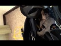 What's in my gym bag?