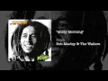 Misty morning 1978  bob marley  the wailers