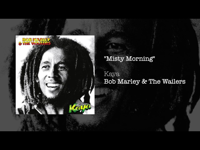 Bob Marley And the Wailers - Misty Morning