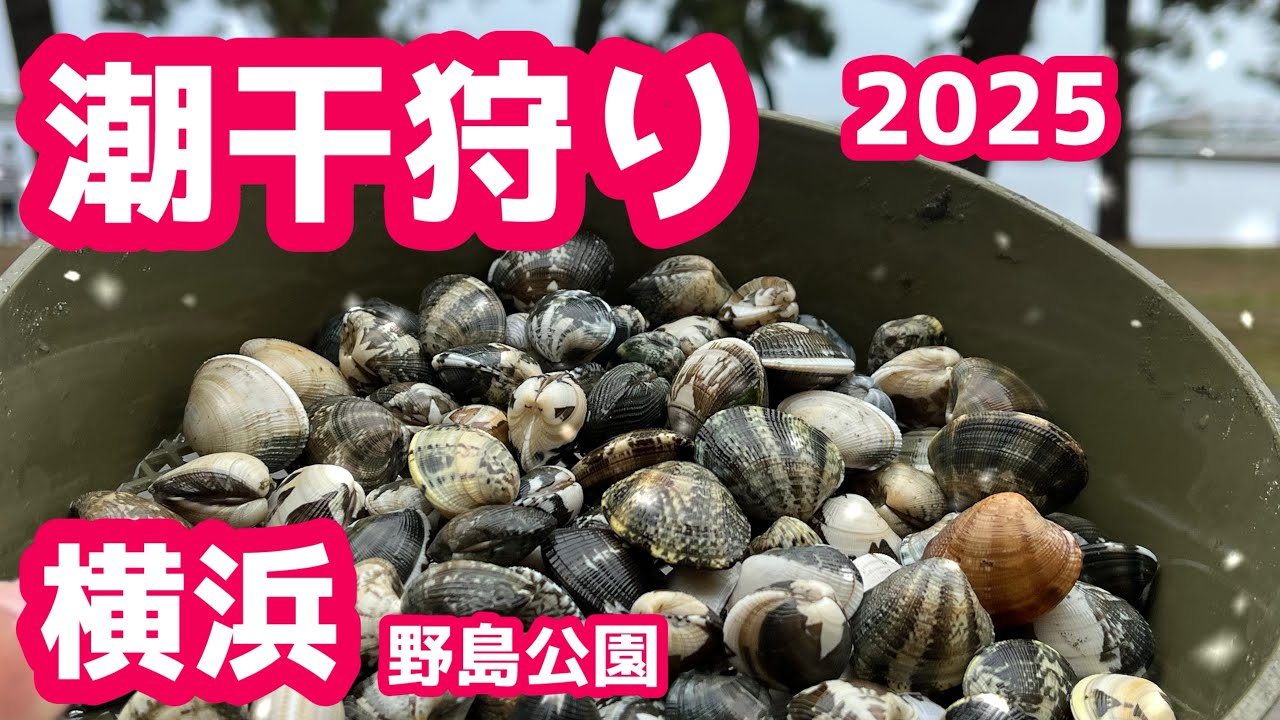【2025最新】無料で潮干狩り！横浜・野島公園でアサリ採ってきた！