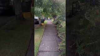 Walk and Real Estate Chat 🏠 #tiktok #realestate #portland #oregon #newhome #home #foryou #love #fyp