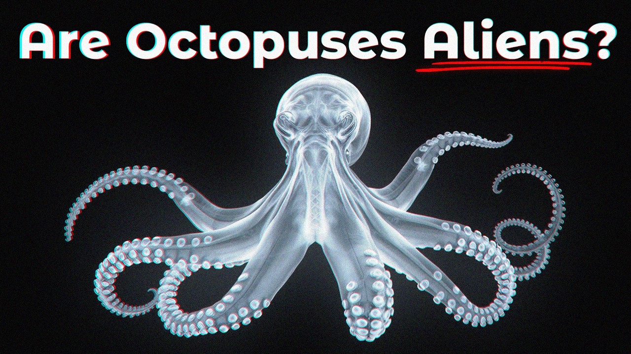 The Animal That Might Actually Be From Space