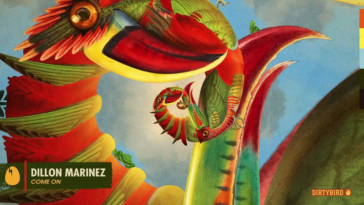 Dillon Marinez - Come on [DIRTYBIRD]