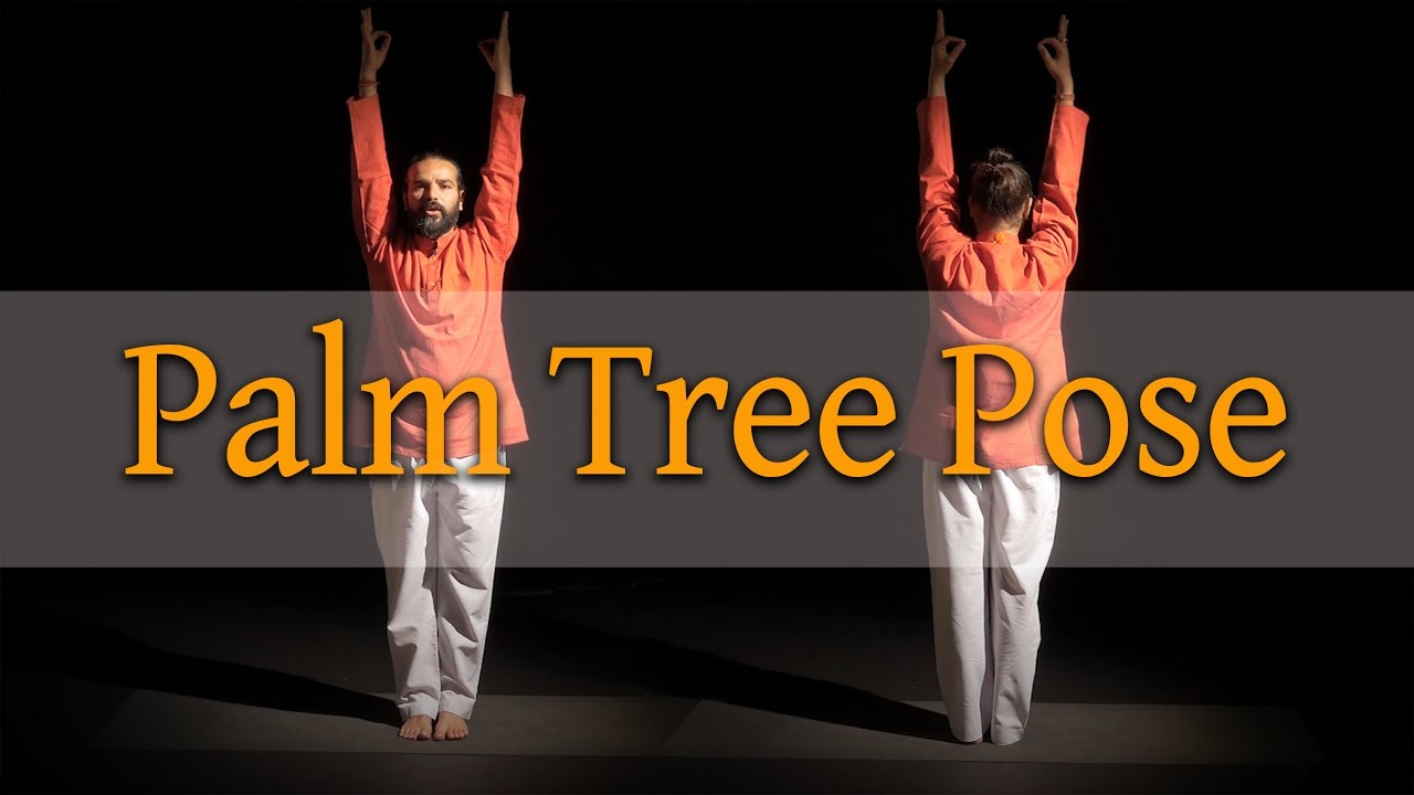 Right way to do Tadasana! Palm Tree Pose Yoga pose Breakdown YouTube