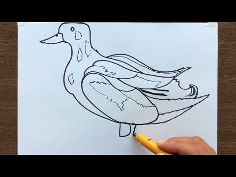 How to Draw