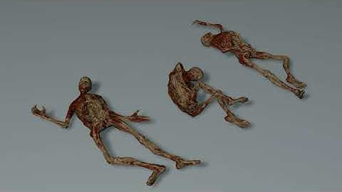 Devil’s Hunt , 3D models (c4d)