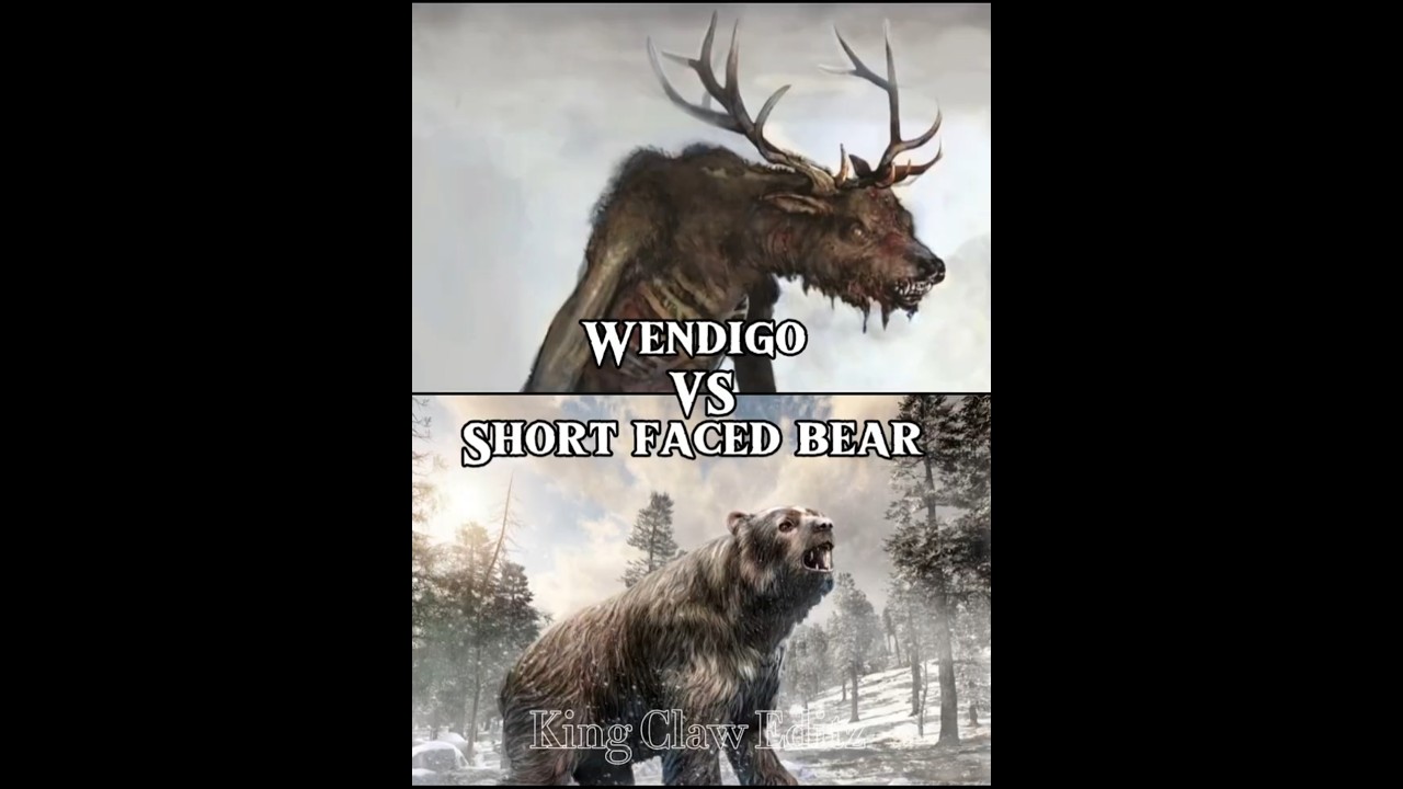Oso de cara corta vs Wendigo I 