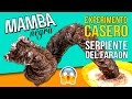 ¡¡Experimento ASOMBROSO!! 🐍🐍 SERPIENTE del FARAÓN o MAMBA NEGRA * Experimentos de QUIMICA caseros